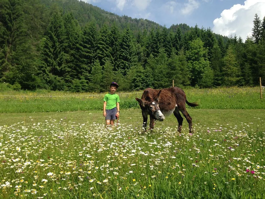 Appartamento Orizzonti Montani Pieve di Cadore 0*,  Italia