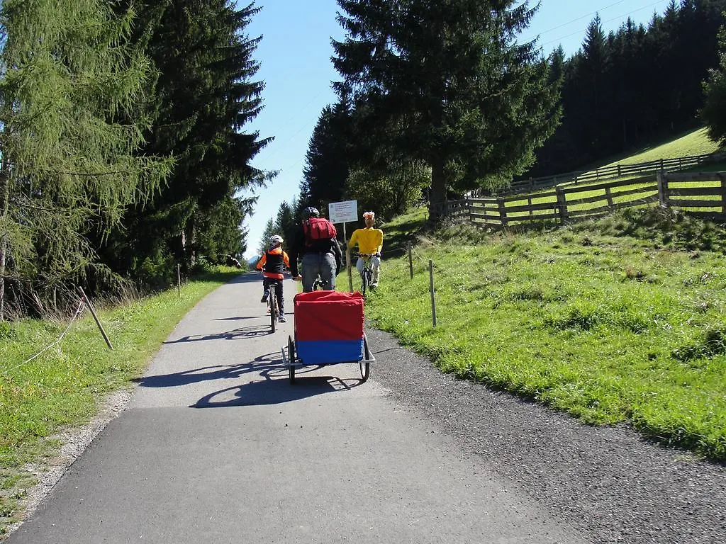 Appartamento Orizzonti Montani Pieve di Cadore 0*,